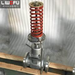 自力式壓力好色先生视频TV下载污：科技引領，壓力控製新篇章
